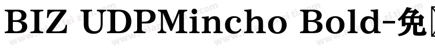 BIZ UDPMincho Bold字体转换